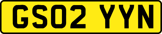 GS02YYN