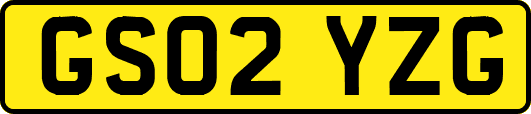 GS02YZG