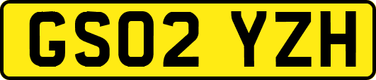 GS02YZH
