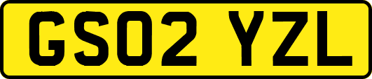 GS02YZL