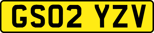 GS02YZV