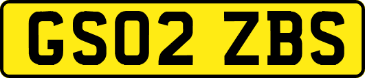 GS02ZBS