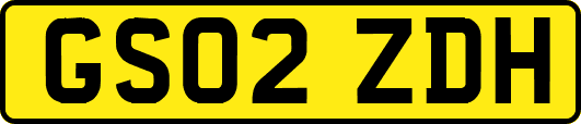 GS02ZDH