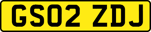 GS02ZDJ