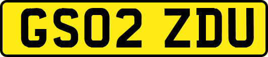 GS02ZDU