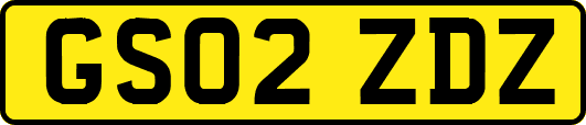 GS02ZDZ
