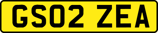 GS02ZEA