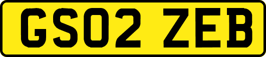 GS02ZEB