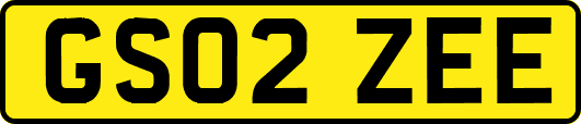 GS02ZEE