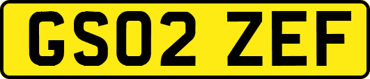 GS02ZEF