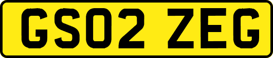 GS02ZEG