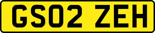 GS02ZEH