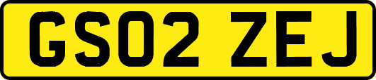 GS02ZEJ