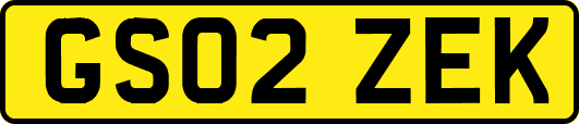 GS02ZEK