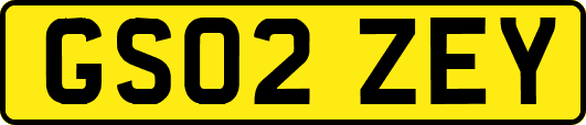 GS02ZEY