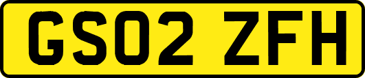 GS02ZFH