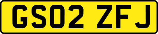 GS02ZFJ