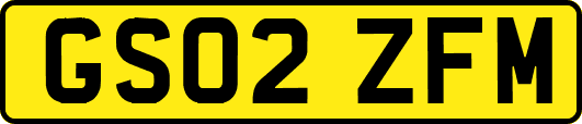 GS02ZFM