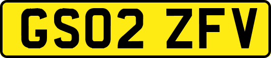 GS02ZFV