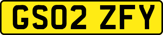 GS02ZFY