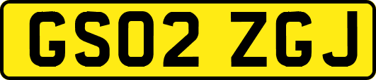 GS02ZGJ