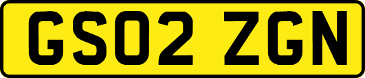 GS02ZGN