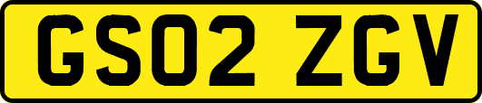 GS02ZGV