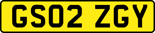 GS02ZGY