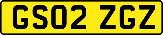 GS02ZGZ