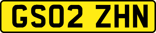 GS02ZHN