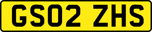 GS02ZHS