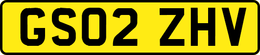 GS02ZHV