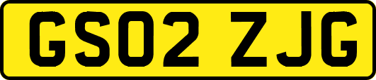 GS02ZJG