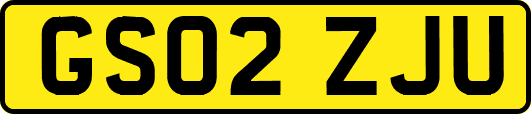 GS02ZJU