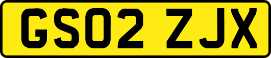 GS02ZJX