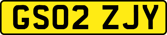 GS02ZJY