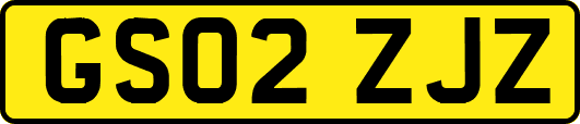 GS02ZJZ