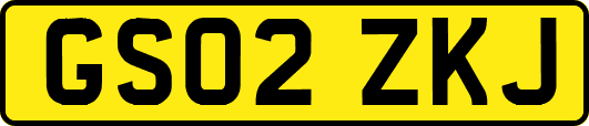 GS02ZKJ