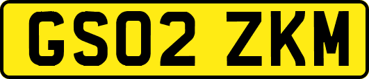 GS02ZKM