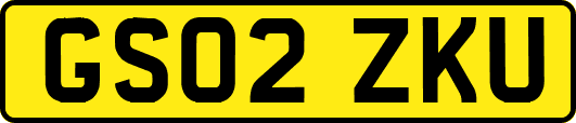 GS02ZKU