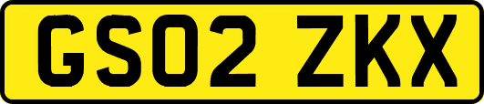 GS02ZKX