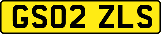 GS02ZLS