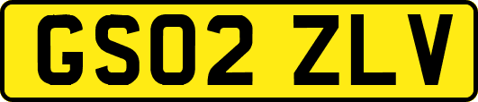 GS02ZLV