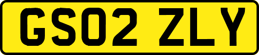 GS02ZLY