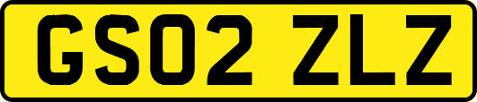 GS02ZLZ