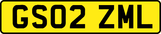 GS02ZML