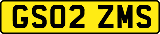 GS02ZMS