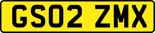 GS02ZMX