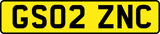GS02ZNC