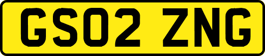 GS02ZNG